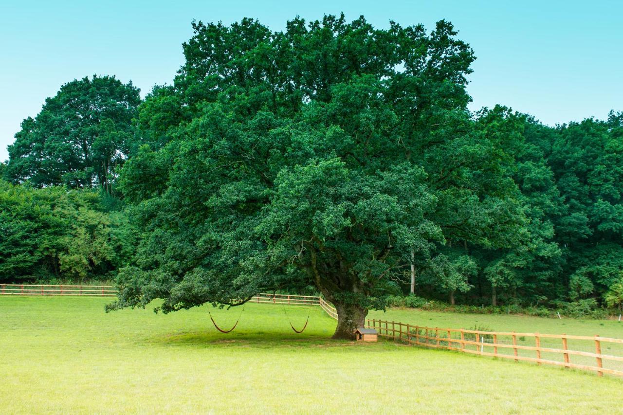 Hidden Wood Glamping And The Hideaway Cabin Warminster Ngoại thất bức ảnh